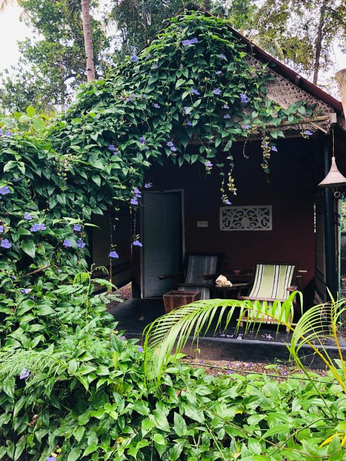 The Cliff Cottage Varkala Extérieur photo